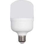 Ferled Torch 30 6500K Beyaz Işık 30 Watt LED Ampül E27 Duy - 20 - 30 W