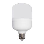 Ferled Torch 30 6500K Beyaz Işık 30 Watt Led Ampül E27 Duy