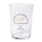Fermenta Platon Haklıydı, Pint Bira Bardağı