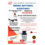 FEROXİT Saka (GOLDFİNCH) Üreme Arttırcı -kızıştırıcı -e Vitamini 100 gr