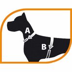 Ferplast Champion Mavi M Ayarlanabilir Köpek Göğüs Tasması