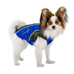 Ferplast Equipe 28 Naylon Köpek Yeleği