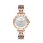 Ferro FL21252A-E Quartz Çelik Rose/Gri 34 mm Kadın Kol Saati
