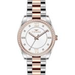 Ferro FL21263A-E Quartz Rose Gri Çelik Kordon 34 mm Kadın Kol Saati