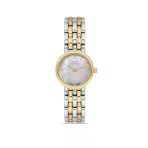 Ferro Fl21486a-D Fl21486a-D Quartz Çelik Kordon Sarı-Gri 22 Mm Kadın Kol Saati