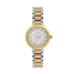 Ferro Fl21493a-D Quartz Çelik Altın/Gri 28 Mm Kadın Kol Saati