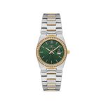 Ferro Fl21596awt-D6 Quarzt Çelik Altın/Gri Yeşil Kadran 30 Mm Kadın Kol Saati