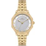 Ferro Fl21632awt-B Quartz Çelik Altın Rengi 32 Mm Kadın Kol Saati