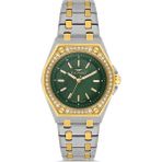 Ferro FL43007A-D6 Quartz Çelik Altın/gri Yeşil Kadran 33 mm Kadın Kol Saati - tek ebat