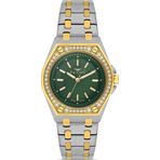Ferro Fl43007a-D6 Quartz Çelik Altın/Gri Yeşil Kadran 33 Mm Kadın Kol Saati