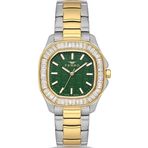 Ferro Fl43008a-D6 Quartz Çelik Altın/Gri Yeşil Kadran 31 Mm Kadın Kol Saati