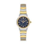 Ferro Fl43009a-D3 Quartz Çelik Altın/Gri Lacivert Kadran 28 Mm Kadın Kol Saati