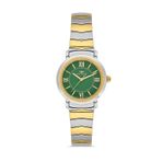 Ferro Fl43009a-D6 Quartz Çelik Altın/Gri Yeşil Kadran 28 Mm Kadın Kol Saati