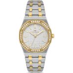 Ferro FL43029A-D Quartz Çelik Altın/gri 33 mm Kadın Kol Saati - tek ebat
