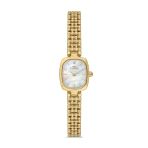 Ferro Fl43201a-B Quartz Çelik Sarı Gri Kadran 23 Mm Kadın Kol Saati