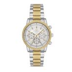 Ferro Quartz Çelik Altın/Gri 36 mm Kadın Kol Saati