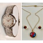 Ferrucci Çelik Kadın Kol SAATI+%100ÇELIK Kolye&küpe Hediye Set - Silver