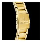 Festına F20633/3 Tımeless Chronograph Erkek Kol Saati·