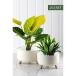 Feyza Design 2'li Tripot Saksı Seti, Modern ve Şık Tasarım, Güçlü ve Dayanıklı Yapı - Ahşap - Beyaz