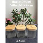 Feyza Design 3'lü Cam Kavanoz Seti, Bambu Kapaklı, Vakumlu, 750 Ml, Saklama Çözümü - Ahşap - Beyaz