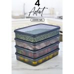 Feyza Design 4’lü 2300 ml Saklama Kabı Seti, Buzdolabı ve Mikrodalga Için Organizer - Altın - Gri