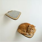 Feyza Design Büyük Boy Kedi Tırmanma ve Duvar Yürüme Platformu - Seçenek 1