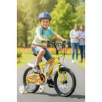 Feyza Design Çocuk Bisikleti 26 Cm, V Fren, 16 Jant, 1 Vites, Sarı Turuncu - Seçenek 1 - Altın
