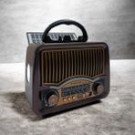 Feyza Design Çok Fonksiyonlu LED Fenerli Bluetooth Radyo ve Müzik Çalar - Ahşap - Ceviz