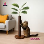 Feyza Design Doğal Ahşap Kedi Tırmalama Ağacı, Sağlıklı ve Eğlenceli Tasarım - Seçenek 1