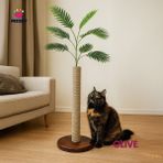 Feyza Design Doğal Ahşap Kedi Tırmalama Ağacı, Sağlıklı ve Eğlenceli Tırmalama Alanı - Seçenek 1