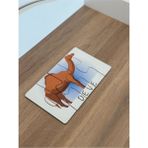 Feyza Design Eğitici Hayvanlar Öğrenme Eşleme Puzzle Kartı 1+ Yaş - Seçenek 1