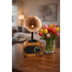 Feyza Design Gramofon Tasarımlı Nostaljik Bluetooth Radyo ve Hoparlör - Ahşap - Ceviz