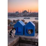 Feyza Design Iki Adet Mavi Su Geçirmez Plastik Kedi Evi, Konfor ve Güvenliğe Uygun - Seçenek 1