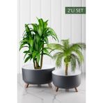 Feyza Design Iki Parça Modern Saksı Seti, Şık ve Dayanıklı Bahçe Dekorasyonu - Altın - Gri