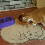 Feyza Design Kedi Paspası Tuvalet Mama Kum Önü, Kaymaz, Jüt Kumaş, 45X60 cm - Seçenek 1