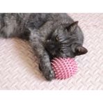 Feyza Design Kedi Tırmalama ve Sürtünme Aleti, Keyifli Oyun ve Egzersiz Için - Seçenek 1