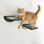 Feyza Design Kedi Tırmanma Rafı ve Duvar Yürüyüş Platformu Seti - Seçenek 1