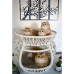 Feyza Design Krem Rengi Çift Katlı Konforlu Kedi Yatağı - Seçenek 1