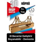 Feyza Design Özel Üretim 3 Boyutlu Minyatür Ham Ahşap Maket Boyanabilir Eğitici Öğretici Motor Beceri Hobi Oyun - Seçenek 1 - 001-Renkli