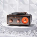 Feyza Design Retro Vintage Mini Fm Radyo, Bluetooth ile Özel Tasarım Görünüm - Altın