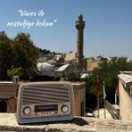 Feyza Design Şarjlı 301 Müzik Kutusu Bluetooth Nostaljik Radyo Fenerli ve Mavi Ledli Dekoratif Çalar - Ahşap - Ceviz
