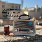 Feyza Design Şarjlı Nostaljik Görünümlü Fenerli Radyo Bluetooth Mp3 Çalar Koyu Kahve - Ahşap - Ceviz