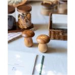 Feyza Design Şık Mantar Tuzluk ve Biberlik Seti, Çiftli Tasarım ile Kullanışlılık - Seçenek 1