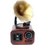 Feyza Design Şık ve Zarif Müzik Kutusu, Nostaljik Gramofon Tasarımıyla Evinize Şıklık Katıyor - Amber