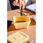 Feyza Design Silikon Saklama Kabı, Kare, Katlanabilir, 500 Ml, Sarı, Hava Sızdırmaz - Altın - Seçenek 1