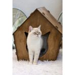 Feyza Design Şirin ve Dayanıklı Kedi Evi, Konforlu ve Şık Tasarım. - Seçenek 1