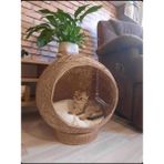 Feyza Design Yumuşak Jüt Ip Hasır Kedi Yatağı, Yuvarlak Kapsül, 45CM - Ahşap - Seçenek 1