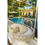 Feyza Design Yumuşak ve Rahat Kedi Köpek Yatağı Hamak Vantuzlu ile Konfor Sağla - Ahşap - Bej - Seçenek 1