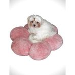 Feyza Design Yumuşak ve Şık Kedi Köpek Kırlent Minder, Ev Dekoruna Tatlı Dokunuş - Ahşap - Bej - Seçenek 1