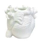 Fiauli Kalem tutucu, yazı masası düzenleyici, yaratıcı yazı gereçleri şekillendirici, küçük insan kalbi şeklinde, 3D gerçekçi anatomi modeli, makyaj fırçası kalemleri için, çok fonksiyonlu bellek